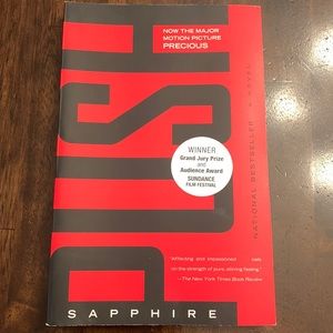 🎉3/$15 SALE!🎉 EUC Push novel by Sapphire, like new
